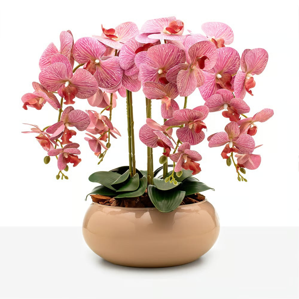 Arranjo Orquídea Santorini 4 Hastes
