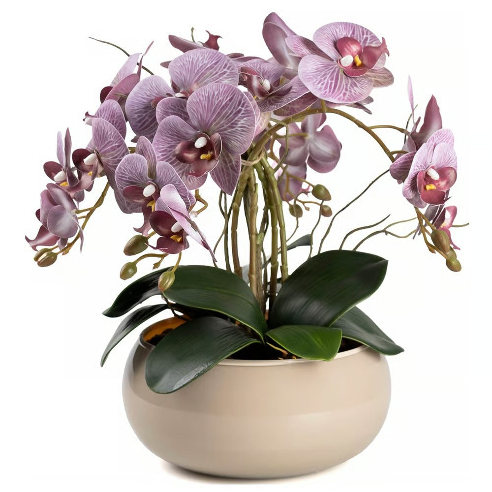 Arranjo Orquídea Lisboa 4 Hastes