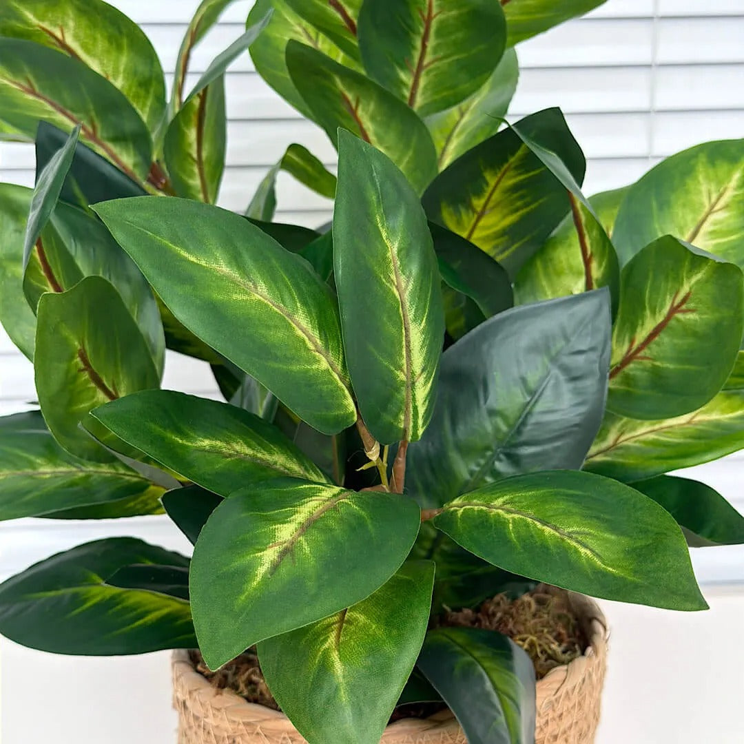 Folhagens com Cesto em Vime Natural | Centro de Mesa