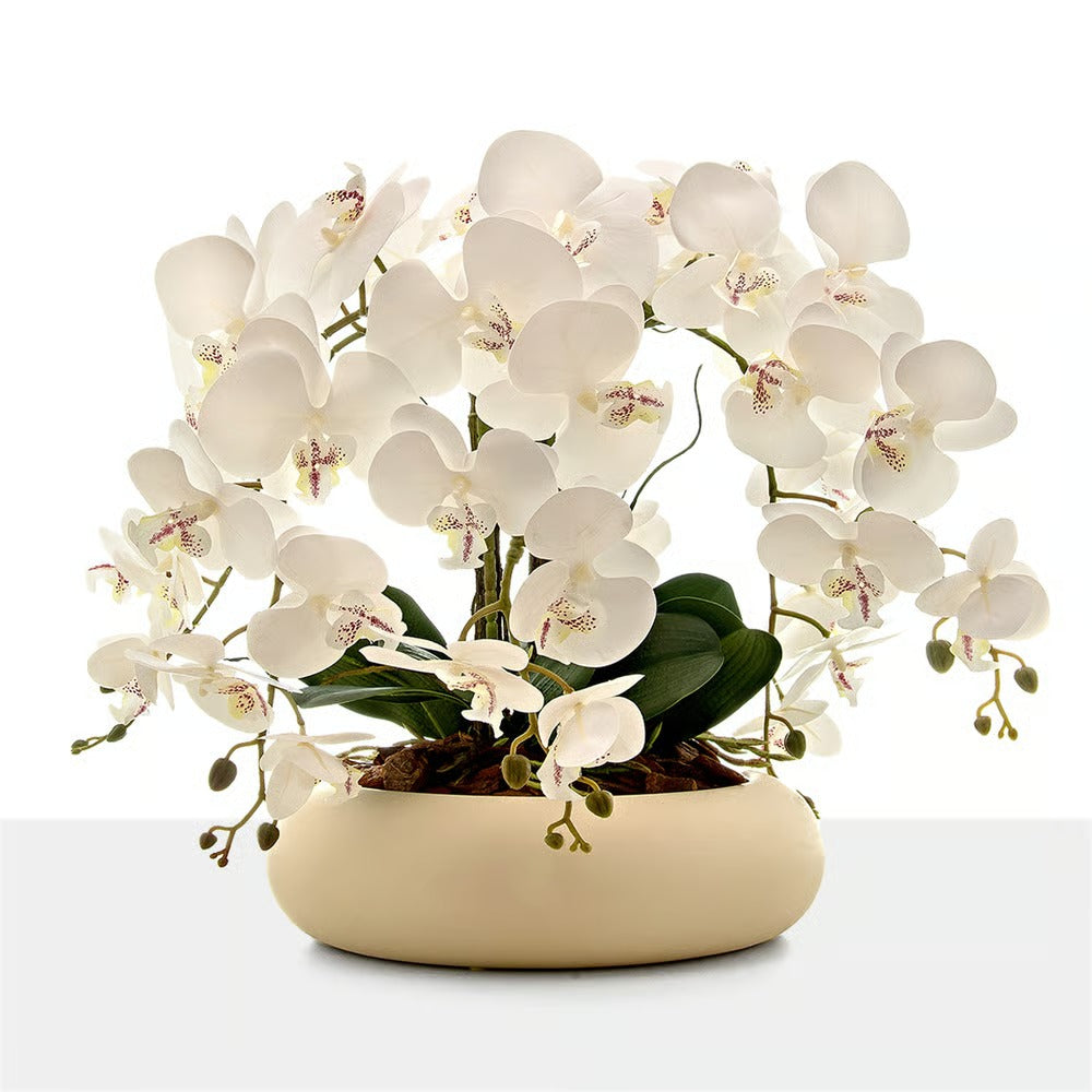 Arranjo Orquídea 6 Hastes Branco Capadócia