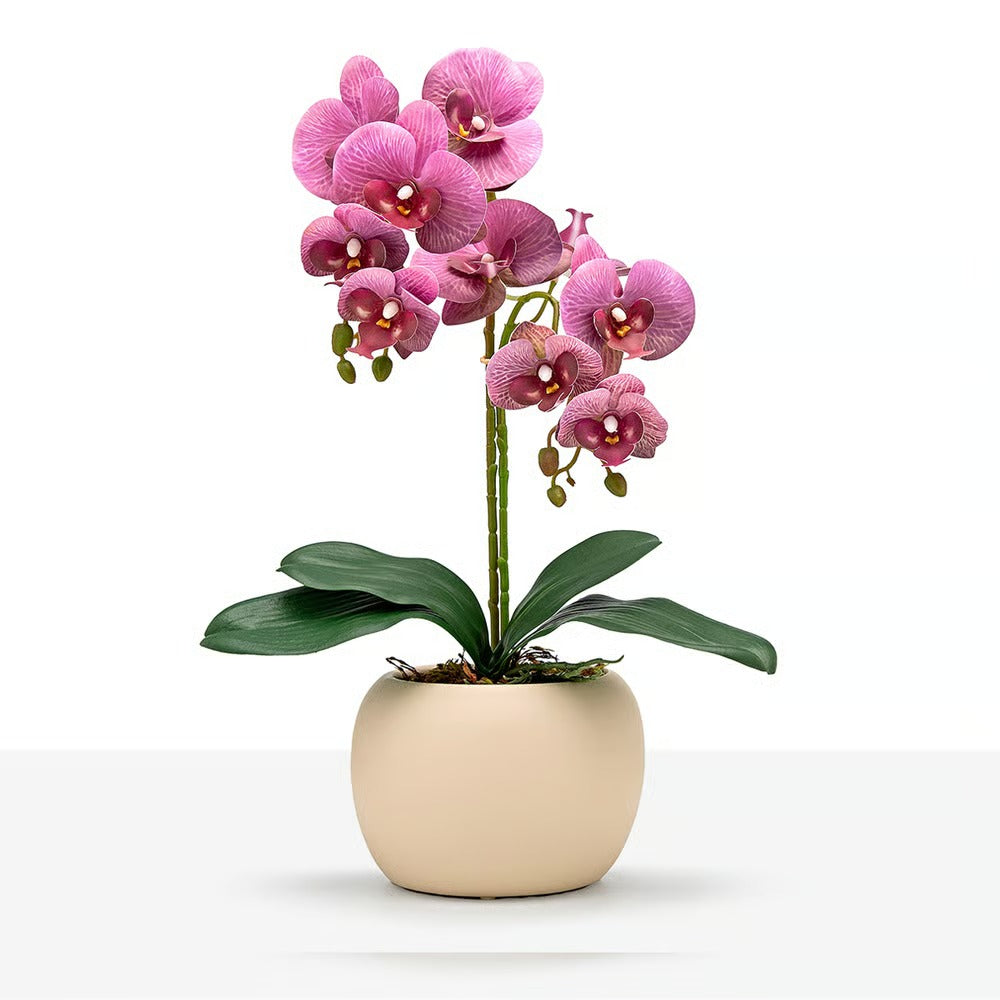 Arranjo Orquídea Munique