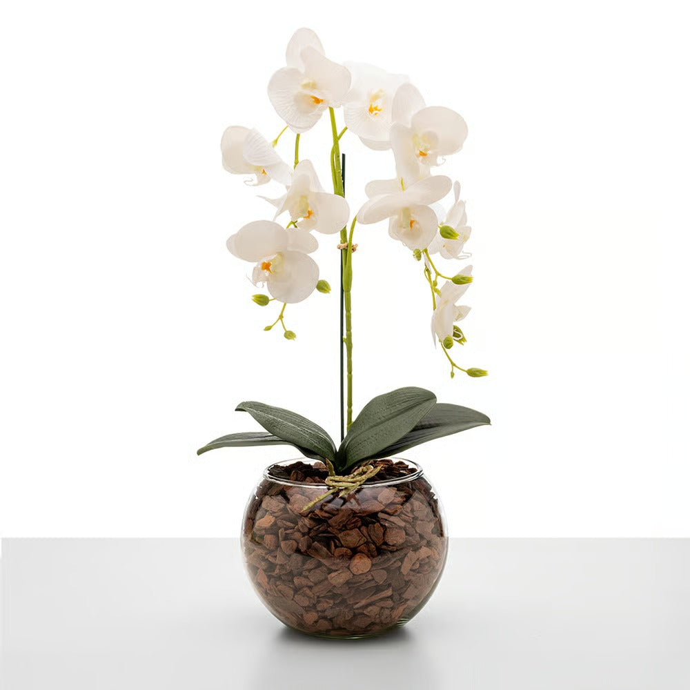 Arranjo de Orquídea Roma