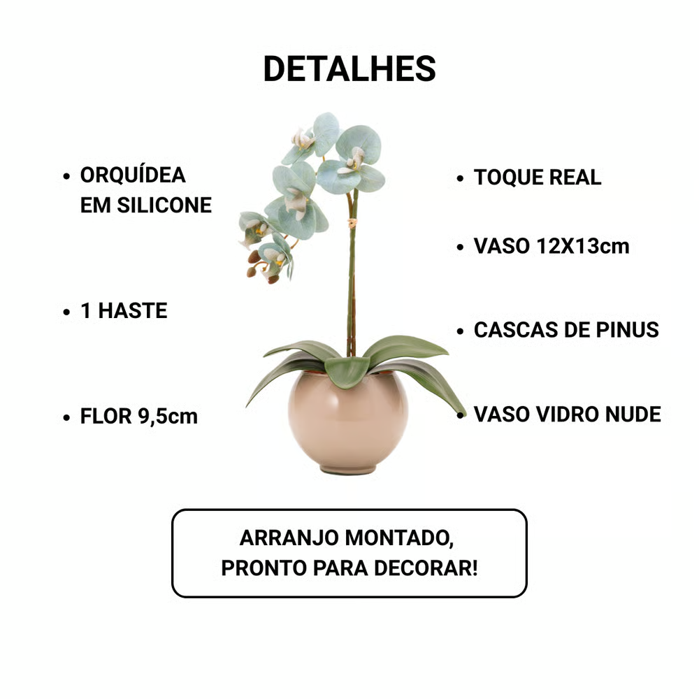 Arranjo de Orquídea Siena