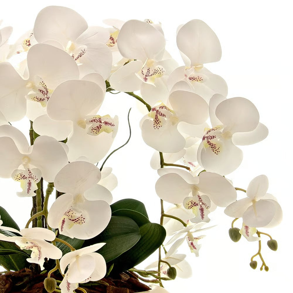 Arranjo Orquídea 6 Hastes Branco Capadócia