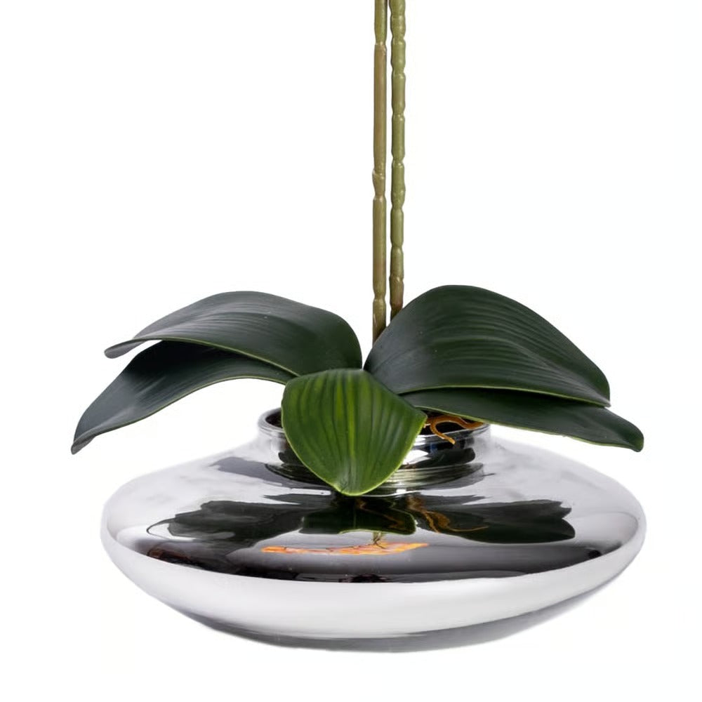 Arranjo Orquídea Viena