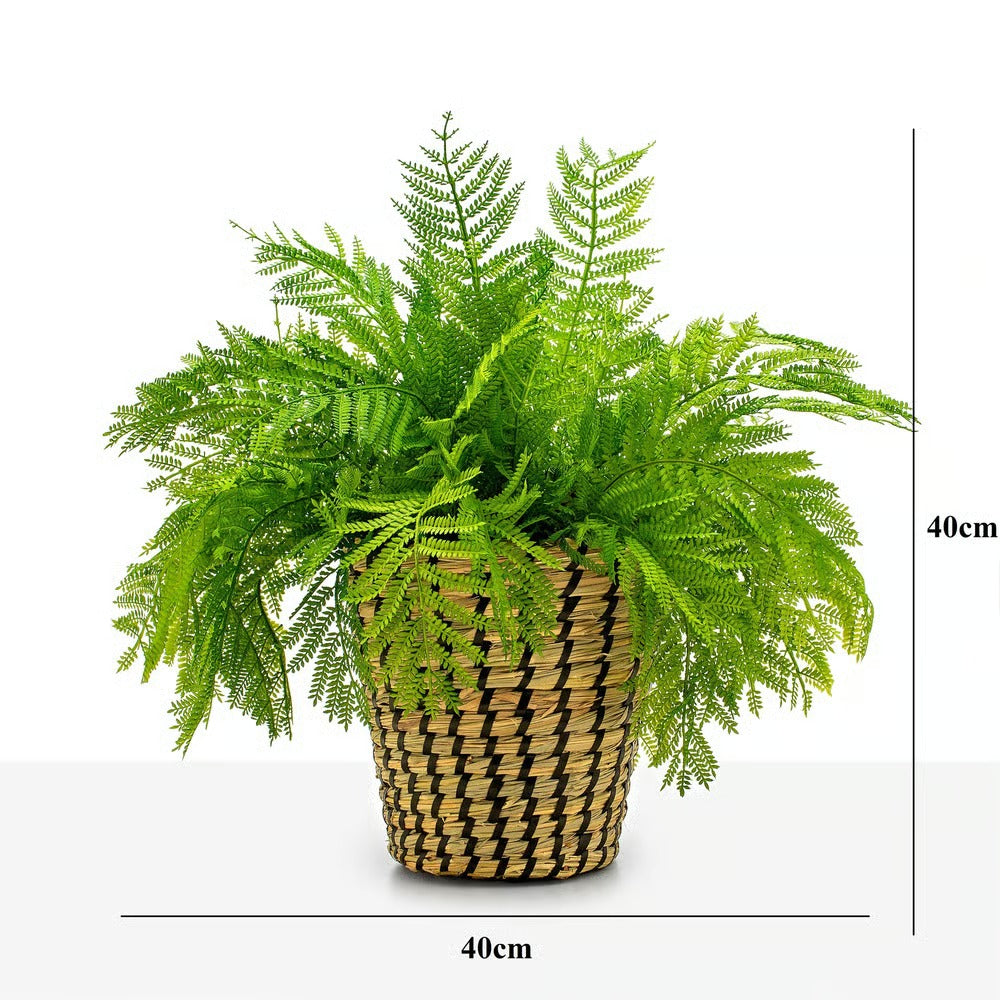 Arranjo Samambaia Tulum - Verde Cachepot/Cesta