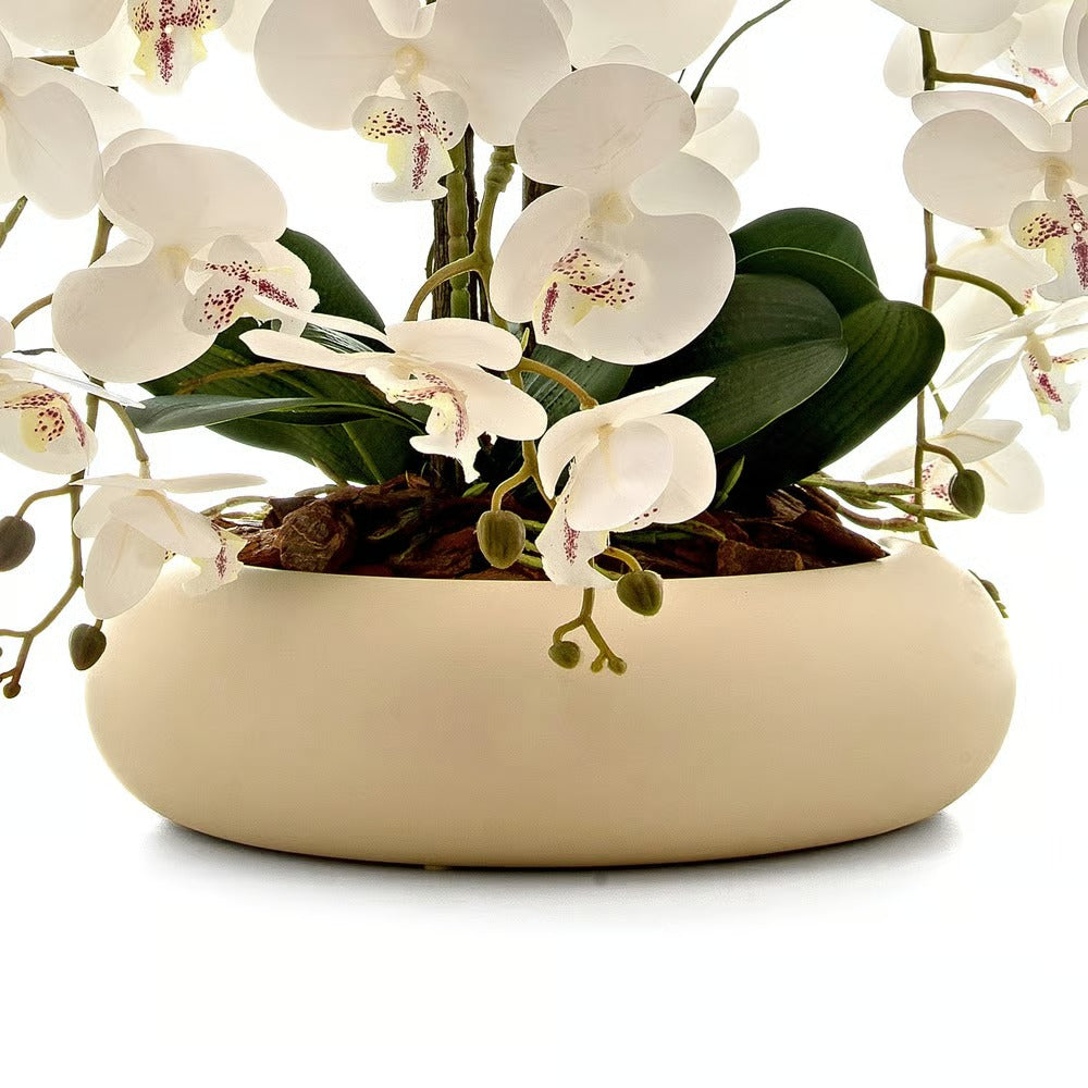 Arranjo Orquídea 6 Hastes Branco Capadócia