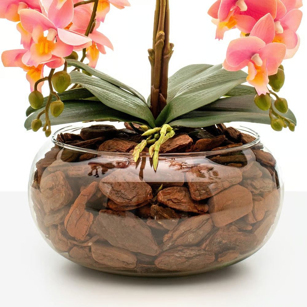 Arranjo Orquídea Vitória 4 Hastes
