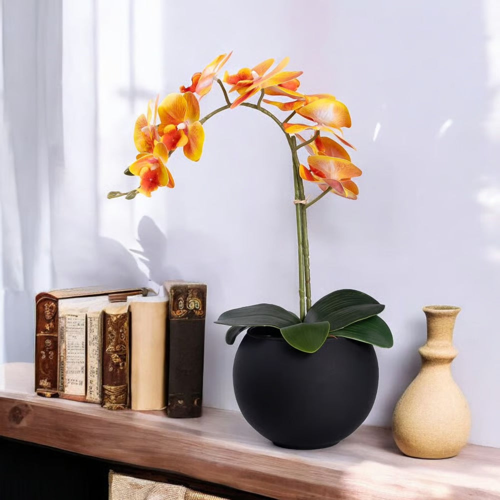 Arranjo Orquídea Riad