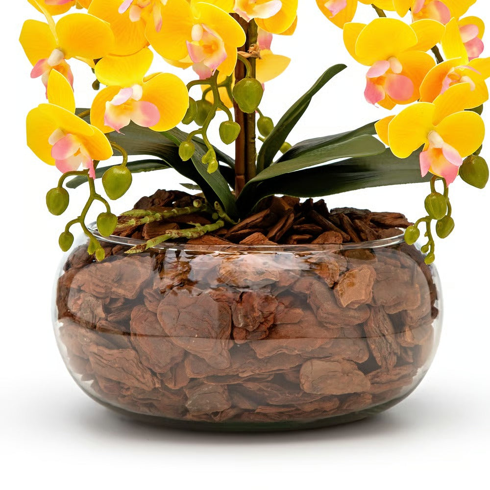 Arranjo Orquídea Viçosa 6 Hastes