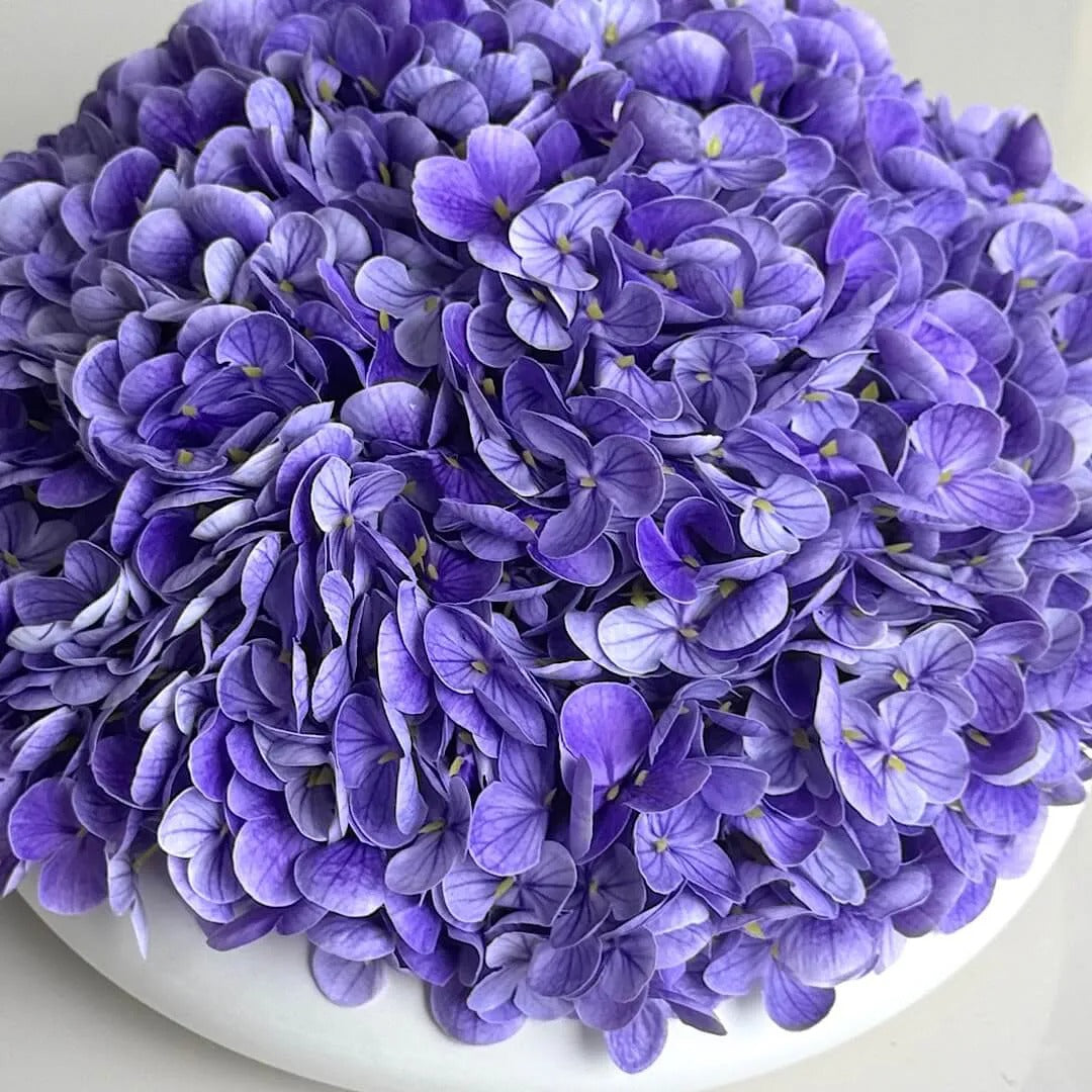 Hortênsias Aline com Vaso Liso em Cerâmica | Centro de Mesa