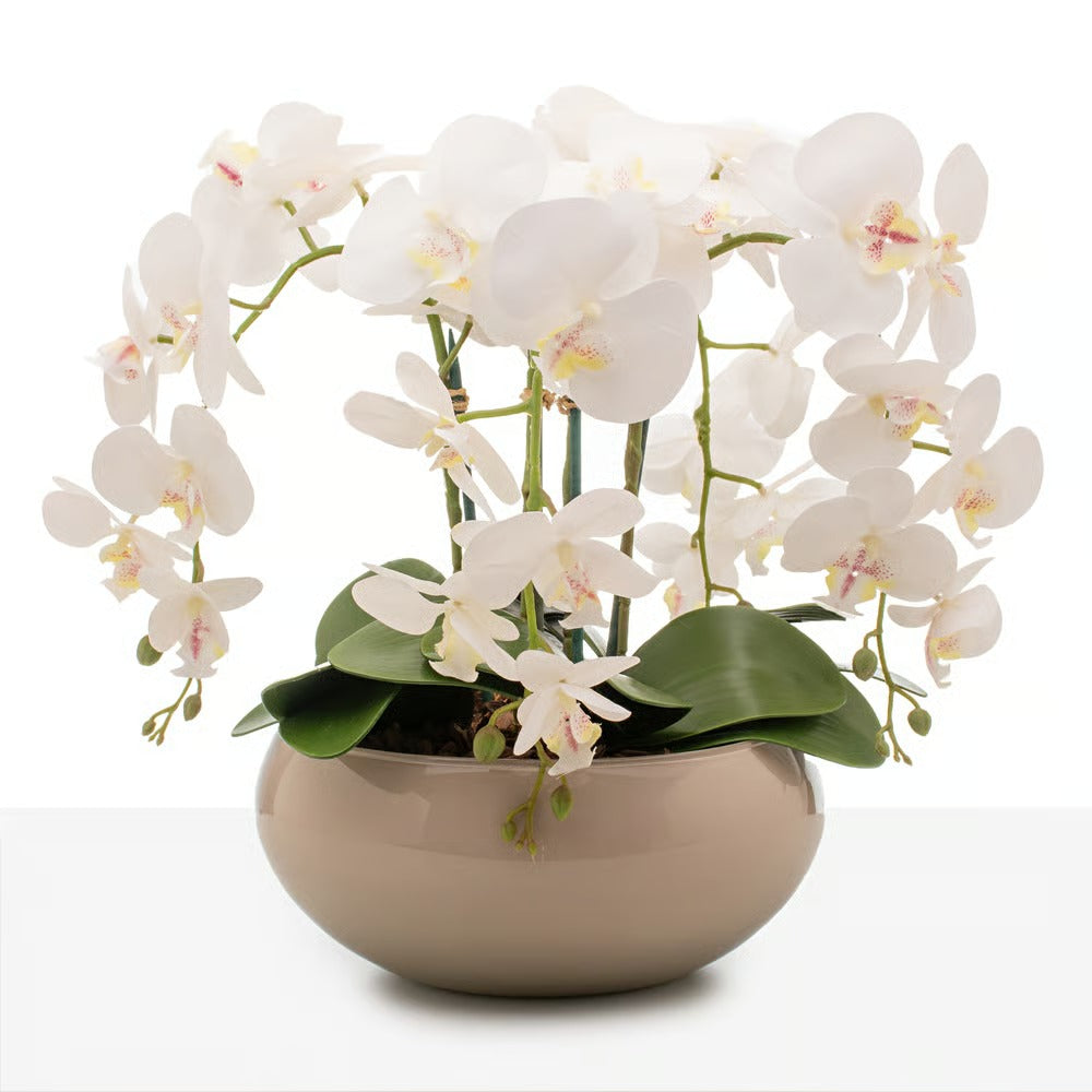 Arranjo Orquídea Santorini 4 Hastes