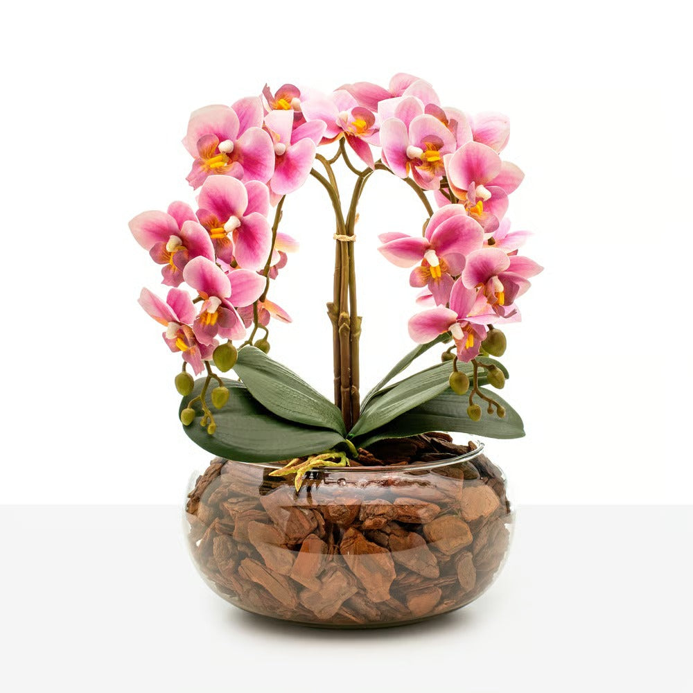 Arranjo Orquídea Vitória 4 Hastes