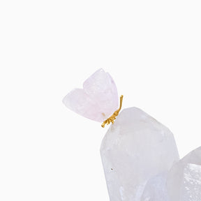 Casal de Borboletas |  Esculpida em Ônix Azul Argentino e Quartzo Rosa Na Drusa de Cristal Quartzo