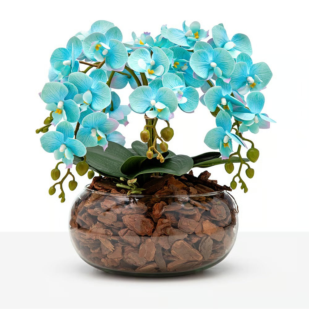 Arranjo Orquídea Viçosa 6 Hastes
