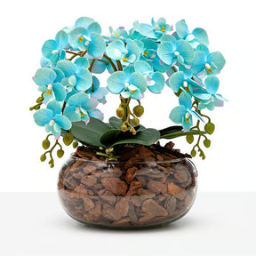 Arranjo Orquídea Viçosa 6 Hastes