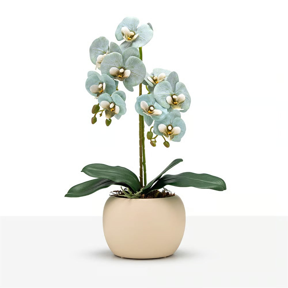 Arranjo Orquídea Munique