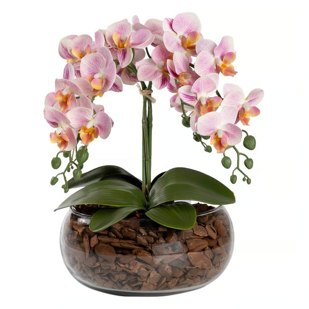Arranjo Orquídea Vitória 4 Hastes