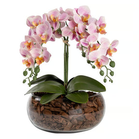 Arranjo Orquídea Vitória 4 Hastes