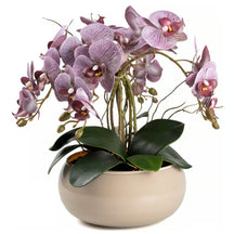 Arranjo Orquídea Lisboa 4 Hastes