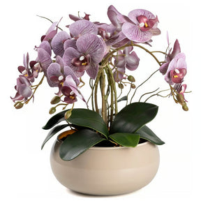 Arranjo Orquídea Lisboa 4 Hastes