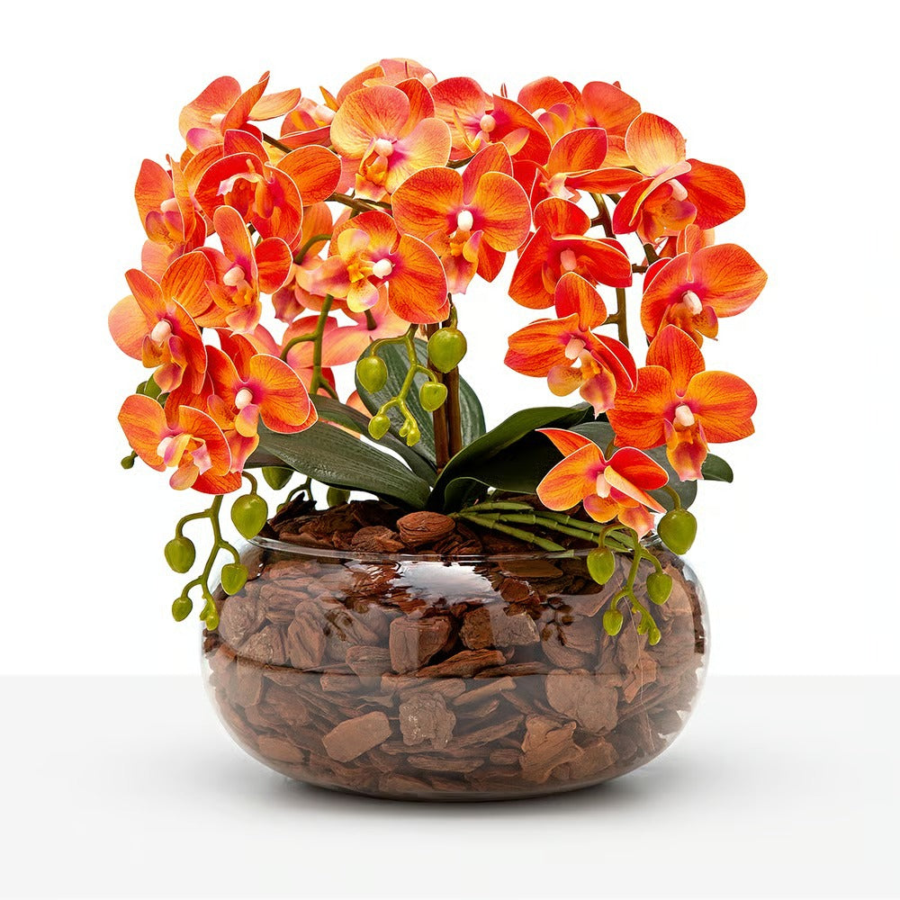 Arranjo Orquídea Viçosa 6 Hastes