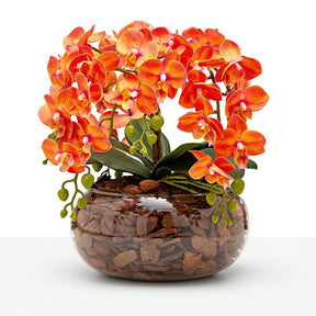 Arranjo Orquídea Viçosa 6 Hastes