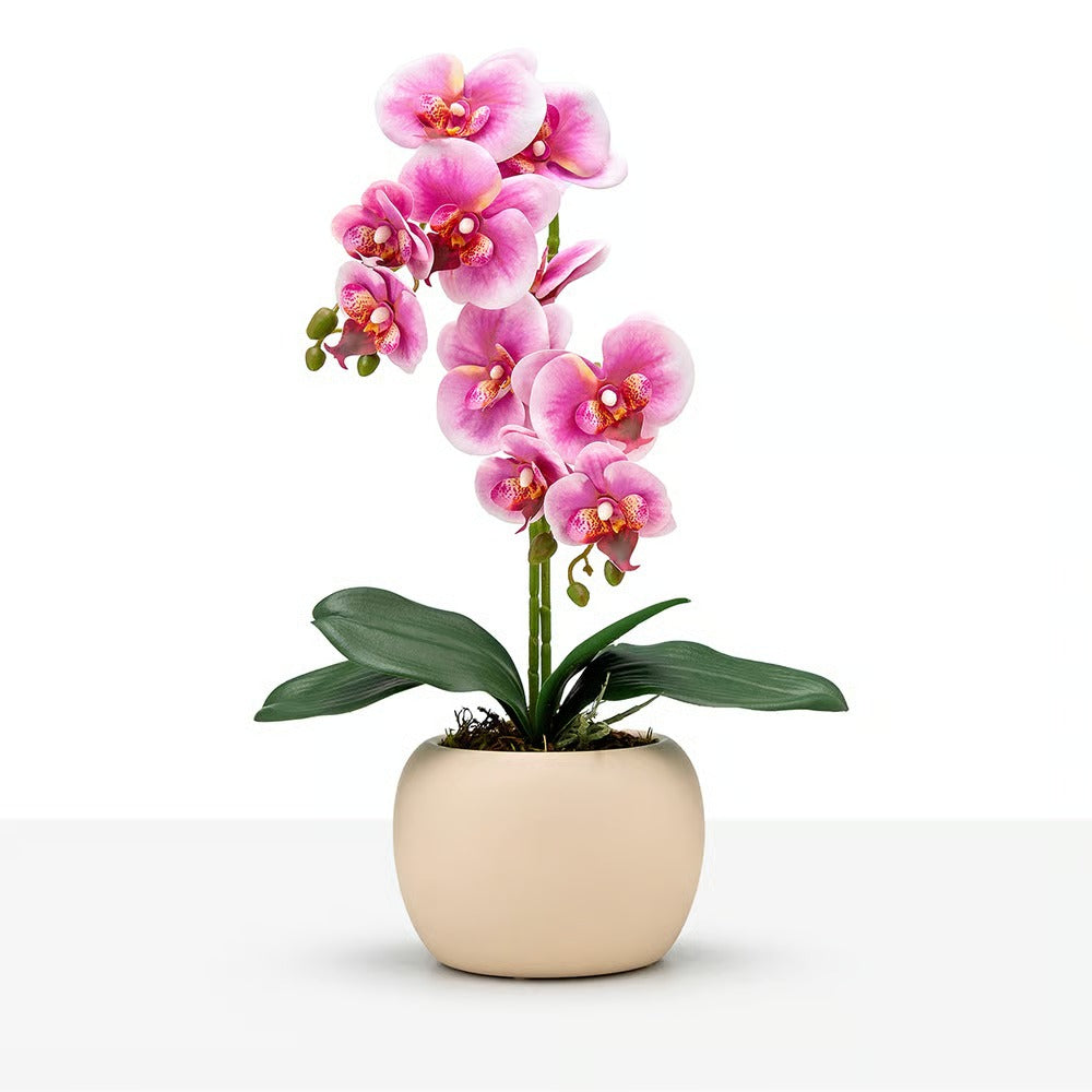 Arranjo Orquídea Munique