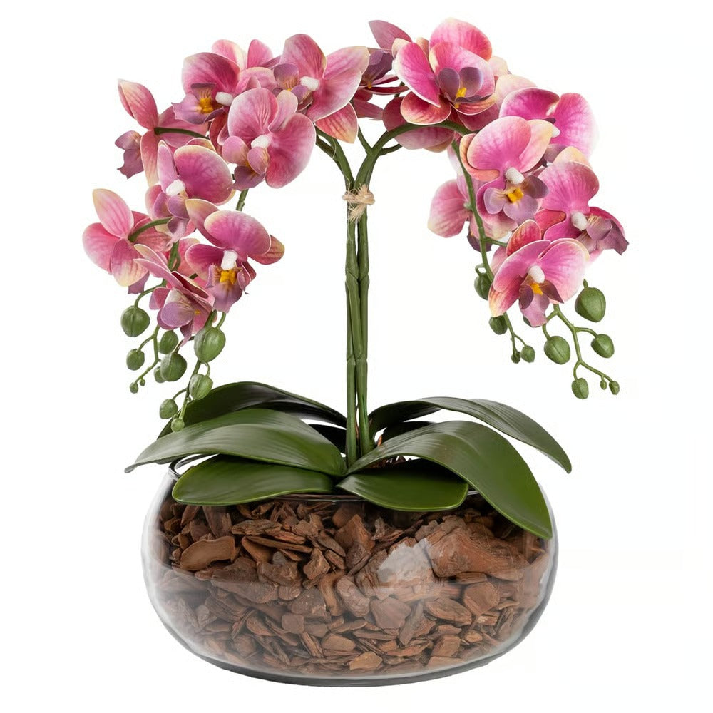 Arranjo Orquídea Vitória 4 Hastes