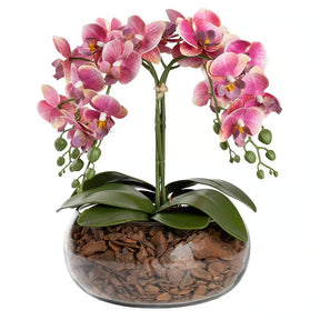 Arranjo Orquídea Vitória 4 Hastes