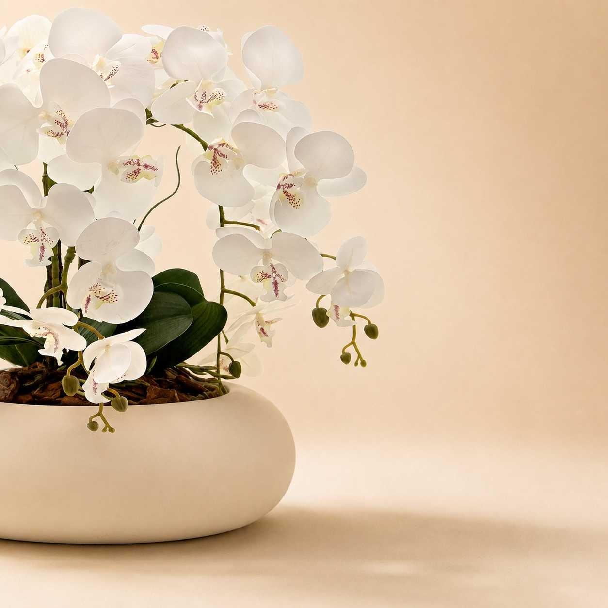 Arranjo Orquídea 6 Hastes Branco Capadócia