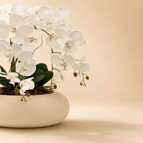 Arranjo Orquídea 6 Hastes Branco Capadócia
