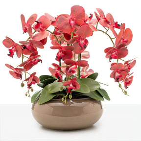 Arranjo Orquídea Santorini 4 Hastes