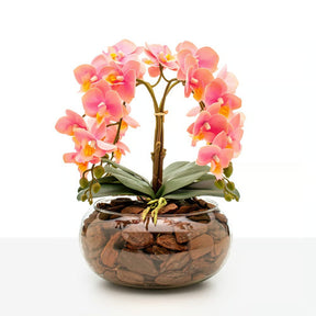 Arranjo Orquídea Vitória 4 Hastes