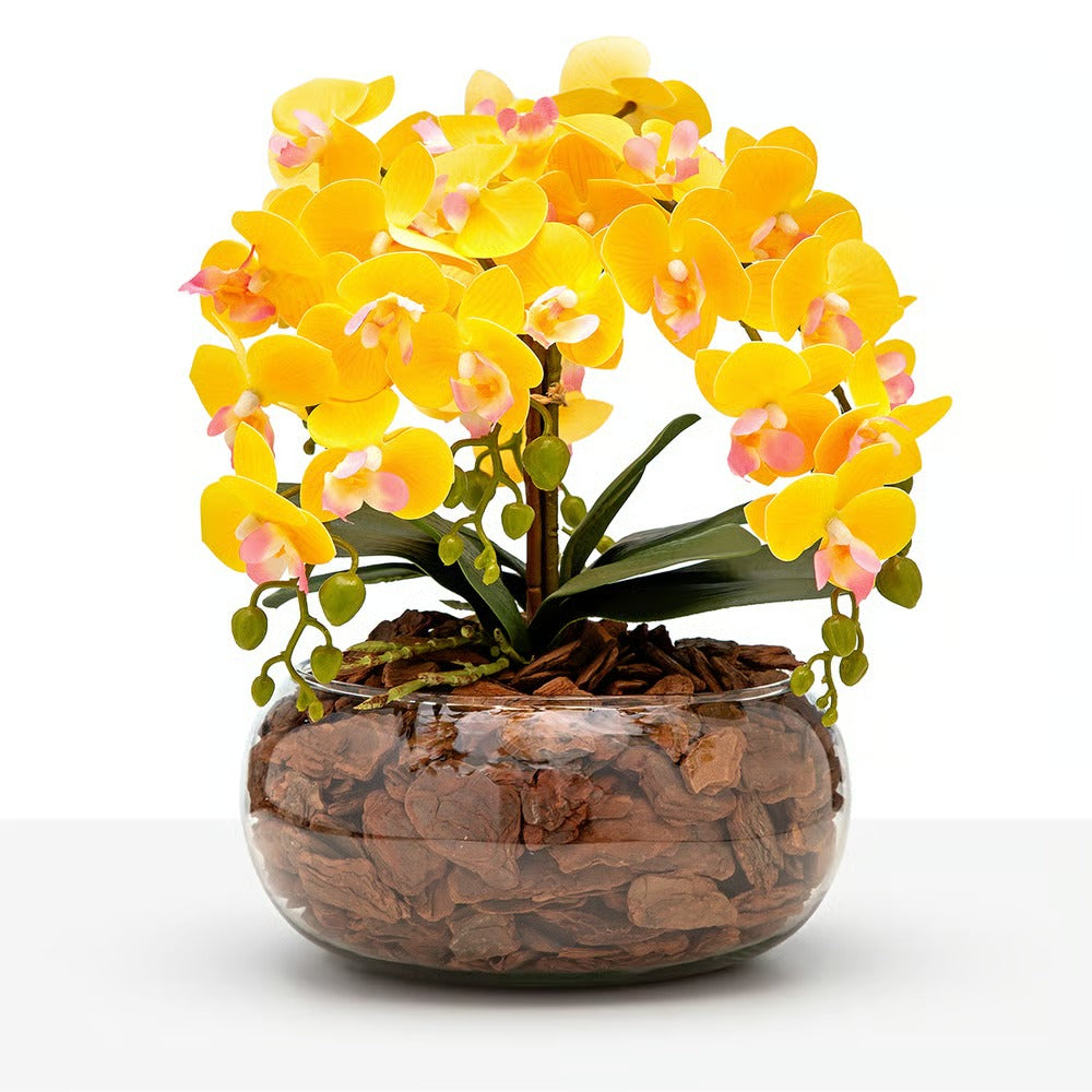 Arranjo Orquídea Viçosa 6 Hastes
