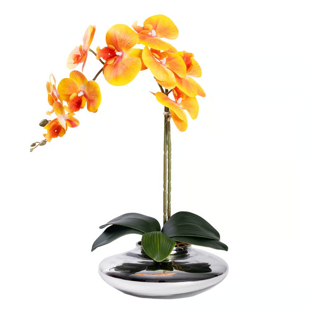Arranjo Orquídea Viena