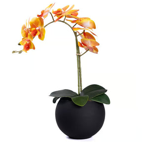 Arranjo Orquídea Riad