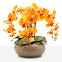 Arranjo Orquídea Santorini 4 Hastes