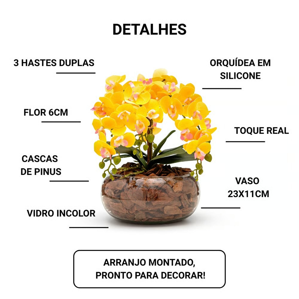 Arranjo Orquídea Viçosa 6 Hastes