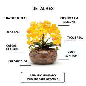 Arranjo Orquídea Viçosa 6 Hastes