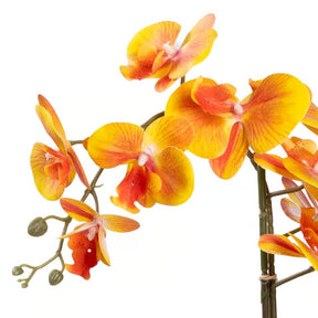 Arranjo Orquídea Viena