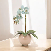 Arranjo de Orquídea Siena
