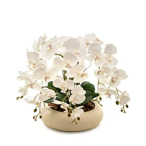 Arranjo Orquídea 6 Hastes Branco Capadócia