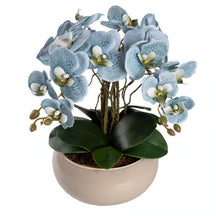 Arranjo Orquídea Lisboa 4 Hastes