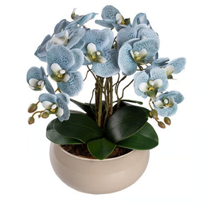 Arranjo Orquídea Lisboa 4 Hastes