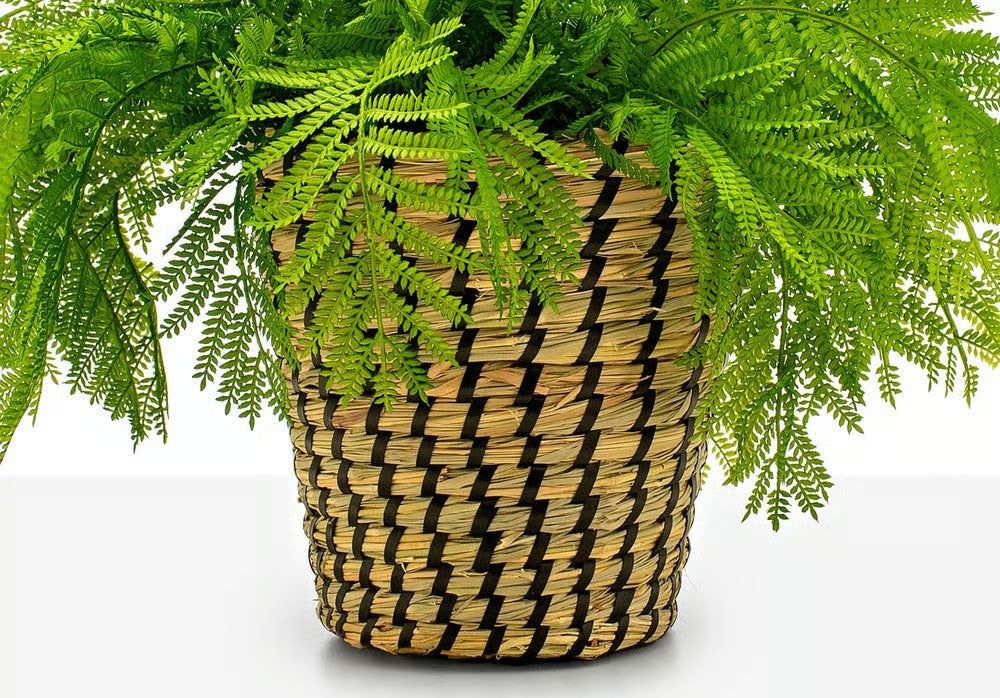 Arranjo Samambaia Tulum - Verde Cachepot/Cesta