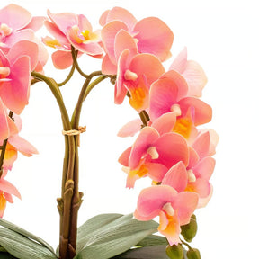 Arranjo Orquídea Vitória 4 Hastes