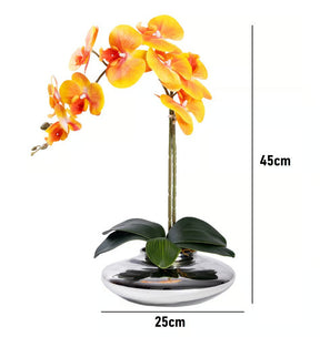 Arranjo Orquídea Viena