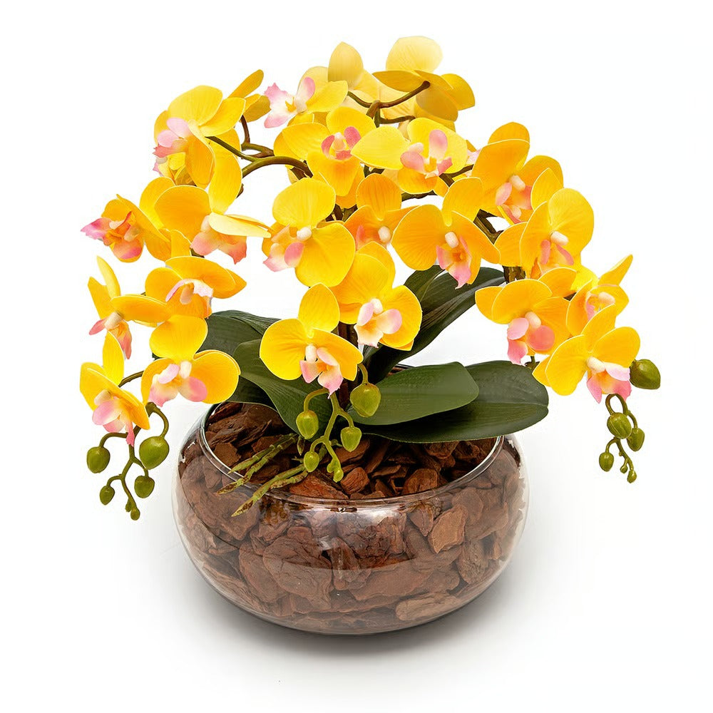 Arranjo Orquídea Viçosa 6 Hastes