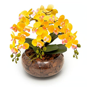 Arranjo Orquídea Viçosa 6 Hastes